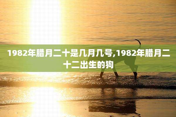 1982年腊月二十是几月几号,1982年腊月二十二出生的狗