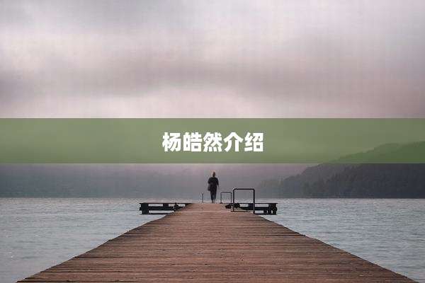 杨皓然介绍