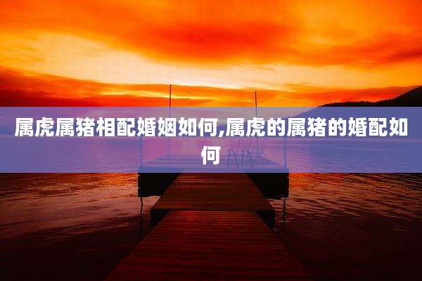 属虎属猪相配婚姻如何,属虎的属猪的婚配如何