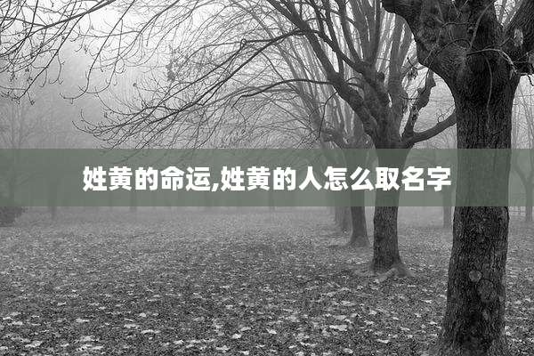 姓黄的命运,姓黄的人怎么取名字