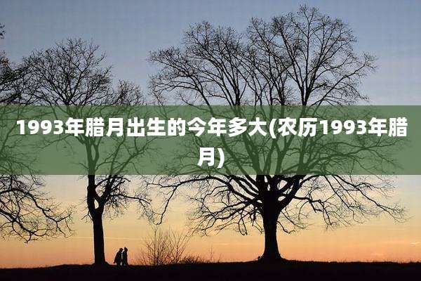 1993年腊月出生的今年多大(农历1993年腊月)