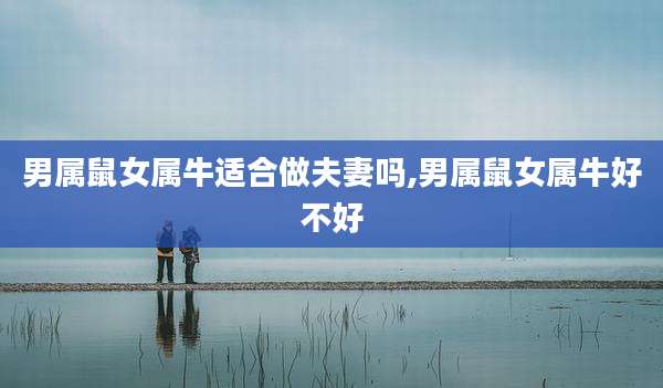 男属鼠女属牛适合做夫妻吗,男属鼠女属牛好不好
