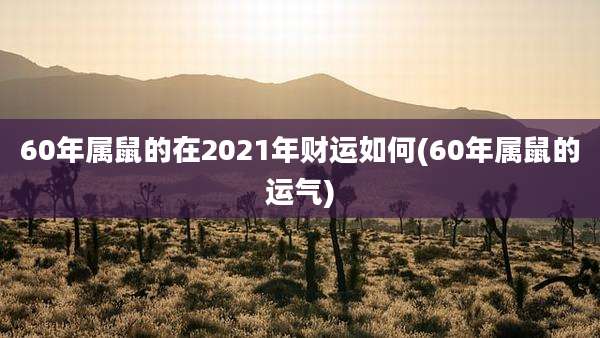 60年属鼠的在2021年财运如何(60年属鼠的运气)