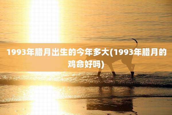 1993年腊月出生的今年多大(1993年腊月的鸡命好吗)