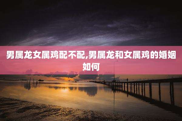 男属龙女属鸡配不配,男属龙和女属鸡的婚姻如何