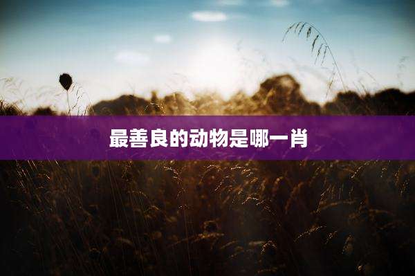 最善良的动物是哪一肖