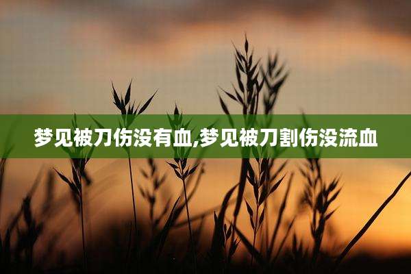 梦见被刀伤没有血,梦见被刀割伤没流血