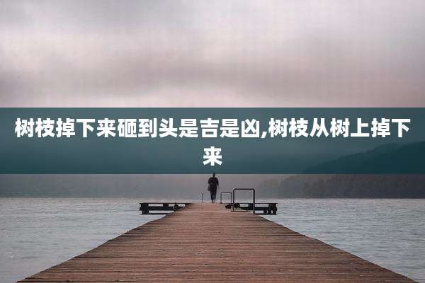 树枝掉下来砸到头是吉是凶,树枝从树上掉下来
