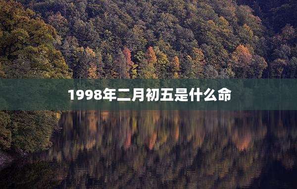 1998年二月初五是什么命