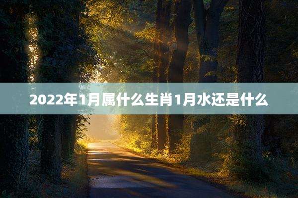 2022年1月属什么生肖1月水还是什么