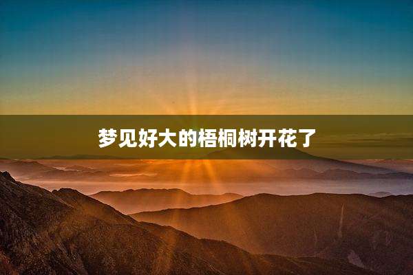 梦见好大的梧桐树开花了