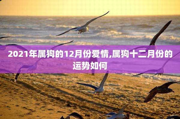 2021年属狗的12月份爱情,属狗十二月份的运势如何