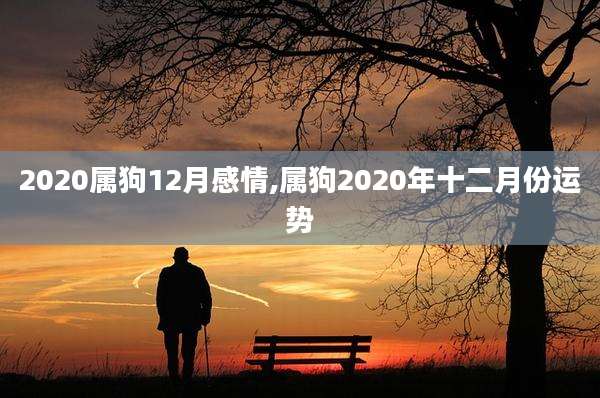 2020属狗12月感情,属狗2020年十二月份运势
