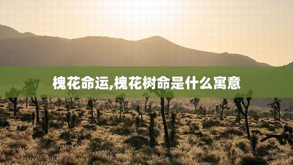 槐花命运,槐花树命是什么寓意