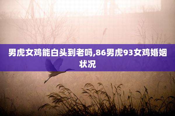 男虎女鸡能白头到老吗,86男虎93女鸡婚姻状况