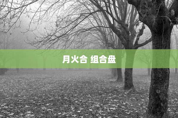 月火合 组合盘