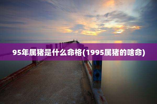 95年属猪是什么命格(1995属猪的啥命)