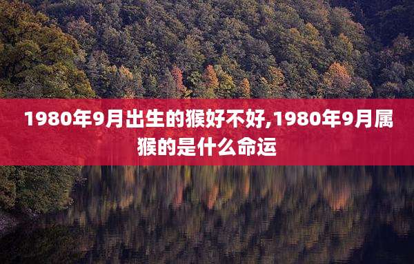 1980年9月出生的猴好不好,1980年9月属猴的是什么命运