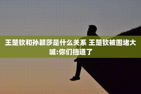 王楚钦和孙颖莎是什么关系 王楚钦被围堵大喊:你们挡道了