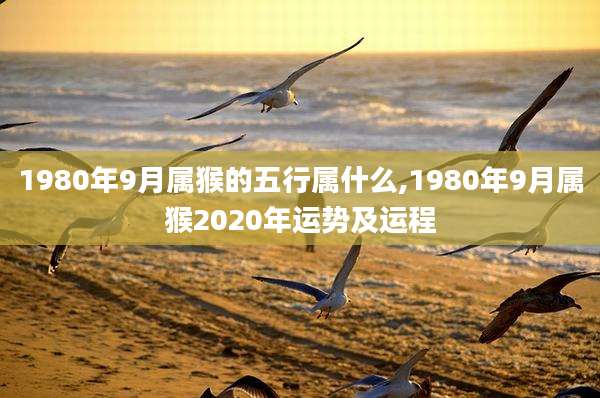 1980年9月属猴的五行属什么,1980年9月属猴2020年运势及运程
