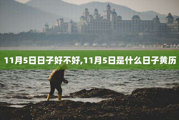 11月5日日子好不好,11月5日是什么日子黄历