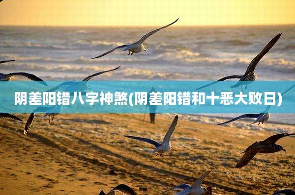 阴差阳错八字神煞(阴差阳错和十恶大败日)