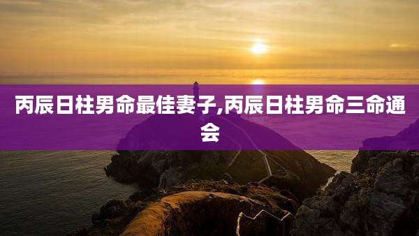 丙辰日柱男命最佳妻子,丙辰日柱男命三命通会