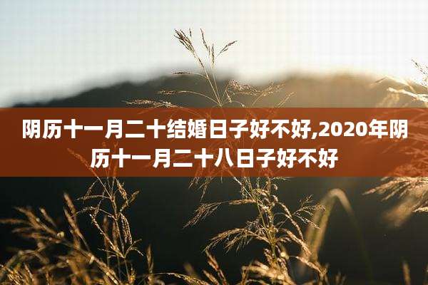 阴历十一月二十结婚日子好不好,2020年阴历十一月二十八日子好不好