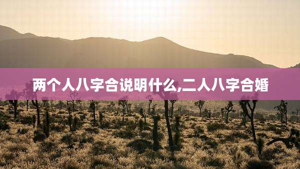 两个人八字合说明什么,二人八字合婚
