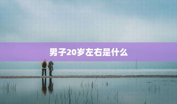 男子20岁左右是什么