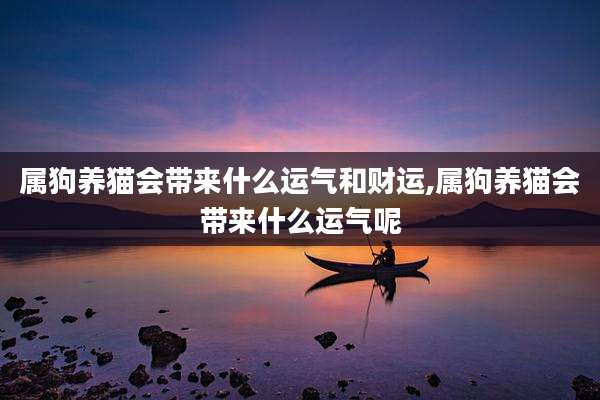 属狗养猫会带来什么运气和财运,属狗养猫会带来什么运气呢