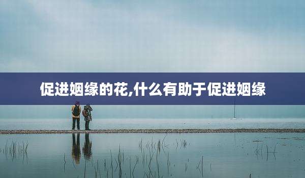 促进姻缘的花,什么有助于促进姻缘