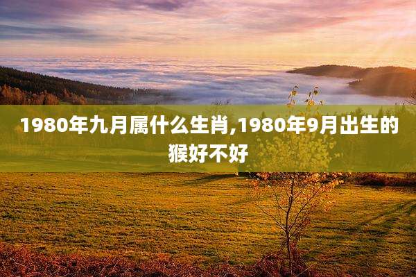 1980年九月属什么生肖,1980年9月出生的猴好不好