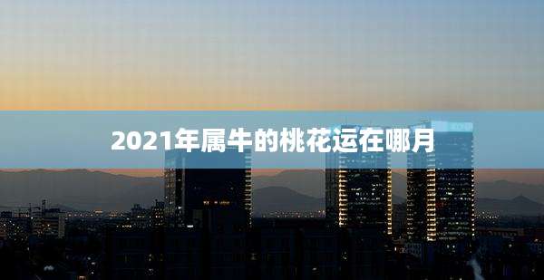 2021年属牛的桃花运在哪月