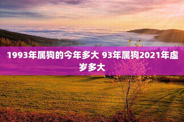 1993年属狗的今年多大 93年属狗2021年虚岁多大