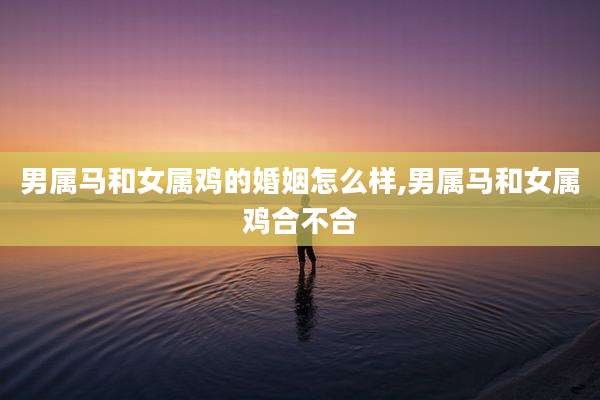 男属马和女属鸡的婚姻怎么样,男属马和女属鸡合不合