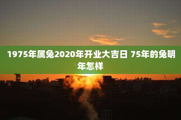 1975年属兔2020年开业大吉日 75年的兔明年怎样