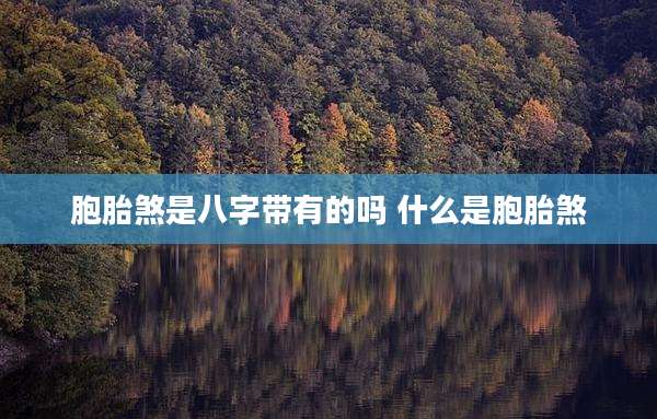 胞胎煞是八字带有的吗 什么是胞胎煞
