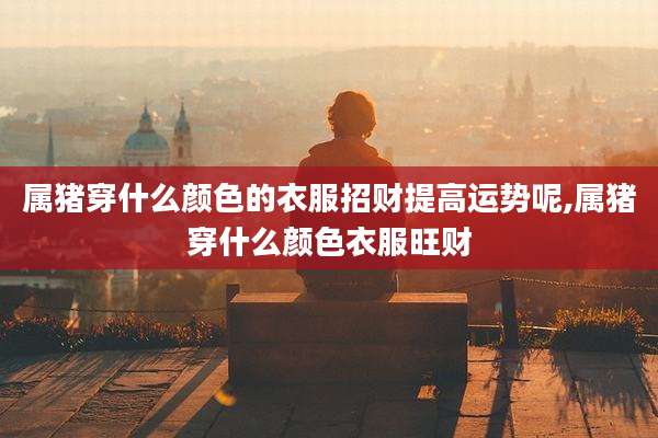 属猪穿什么颜色的衣服招财提高运势呢,属猪穿什么颜色衣服旺财
