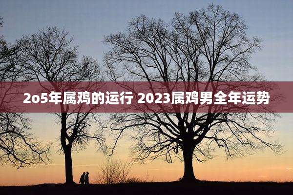 2o5年属鸡的运行 2023属鸡男全年运势