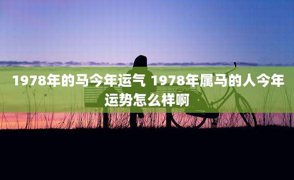 1978年的马今年运气 1978年属马的人今年运势怎么样啊