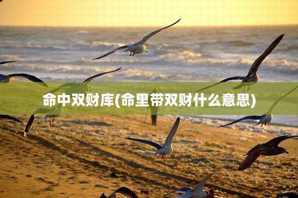 命中双财库(命里带双财什么意思)