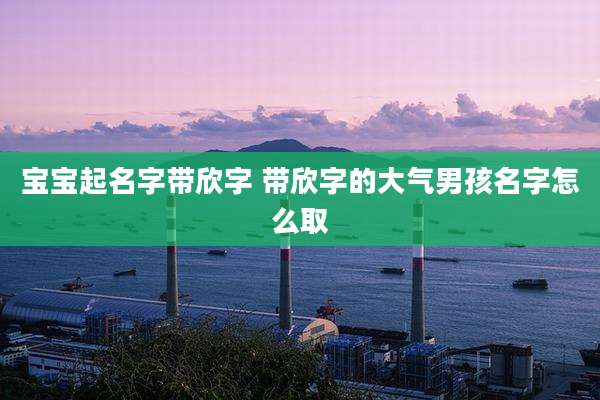 宝宝起名字带欣字 带欣字的大气男孩名字怎么取