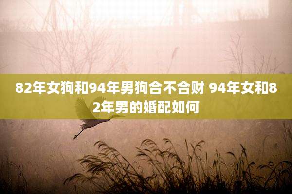 82年女狗和94年男狗合不合财 94年女和82年男的婚配如何