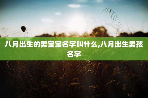 八月出生的男宝宝名字叫什么,八月出生男孩名字
