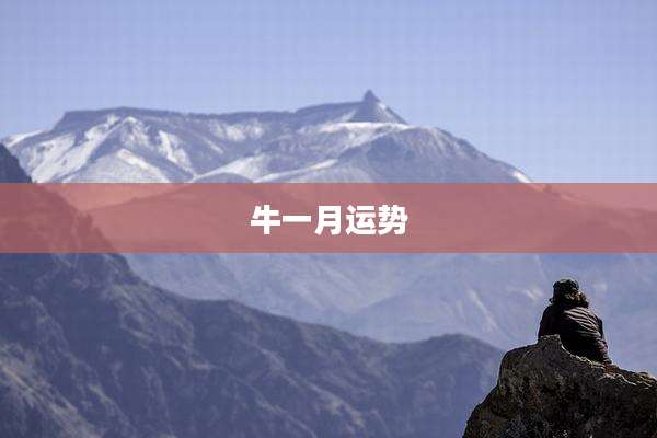 牛一月运势