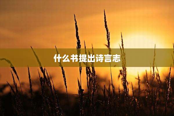 什么书提出诗言志