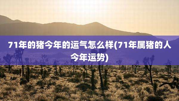 71年的猪今年的运气怎么样(71年属猪的人今年运势)