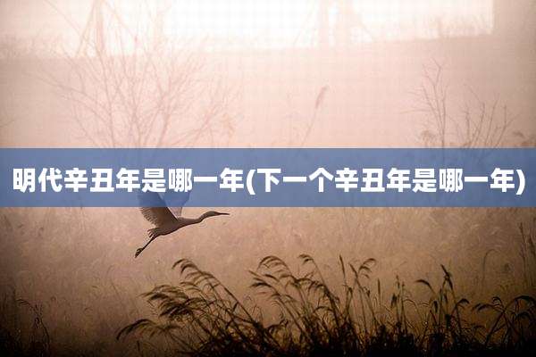 明代辛丑年是哪一年(下一个辛丑年是哪一年)