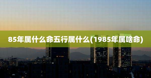 85年属什么命五行属什么(1985年属啥命)